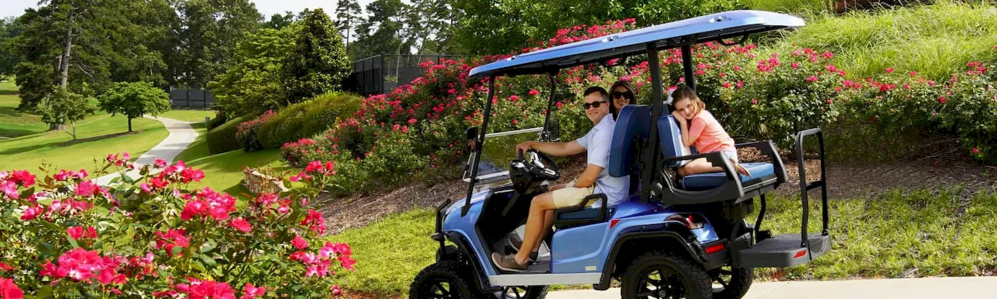 Golf Cart Rentals in Dandridge, TN