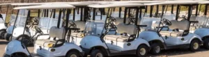 Read more about the article Buying a New Golf Cart: Essential Questions to Ask Your Dealer