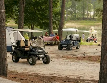 Golf Cart Rentals Photo