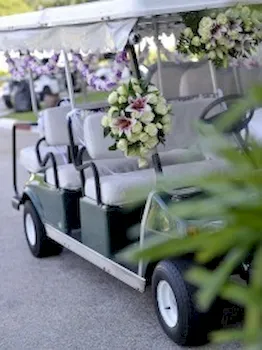 Golf Cart Rentals Photo